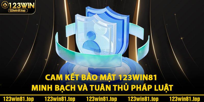 Cam Kết Bảo Mật 123Win81 Minh Bạch Và Tuân Thủ Pháp Luật